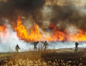 Foto: Die Silhouetten von vier Feuerwehrleuten sind vor einem Feldbrand erkennbar.